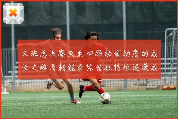 文班总决赛失利回顾幼鲨幼詹的成长之路马刺能否凭借独特性逆袭成功