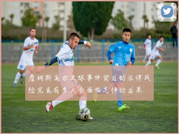詹姆斯高尔夫球事件背后的法律风险究竟有多大会面临怎样的后果