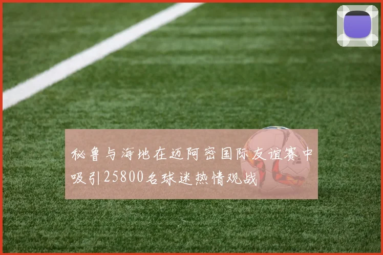 秘鲁与海地在迈阿密国际友谊赛中吸引25800名球迷热情观战